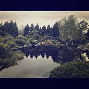 Meet your Posher, Alexa